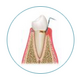 Icon zeigt Querschnitt von Zahn mit Zahnfleisch - Bakterien vermehren sich